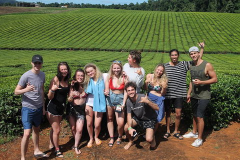 Atherton Tablelands Waterfalls Tour From Cairns - Accommodation Mt Buller 6