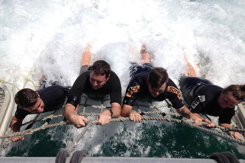 Eco Marine Safari - Boom Netting & Snorkeling Moreton Island - Roma St Transfers - Accommodation Mt Buller 9