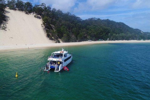 Eco Marine Safari - Boom Netting & Snorkeling Moreton Island - Roma St Transfers - Accommodation Mt Buller 0