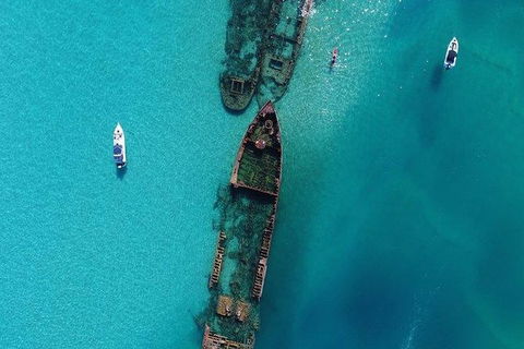 Eco Marine Safari - Boom Netting & Snorkeling Moreton Island - Roma St Transfers - Accommodation Mt Buller 4