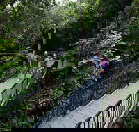 4-Day Cairns with Great Barrier Reef and Daintree Rainforest - Accommodation Mt Buller