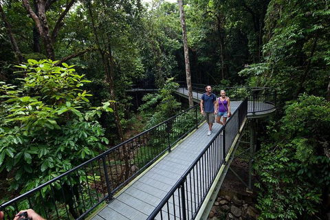 4-Day Cairns With Great Barrier Reef And Daintree Rainforest - Accommodation Mt Buller 0