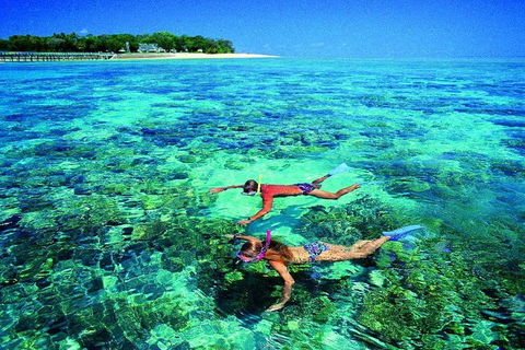 4-Day Cairns With Great Barrier Reef And Daintree Rainforest - Accommodation Mt Buller 3