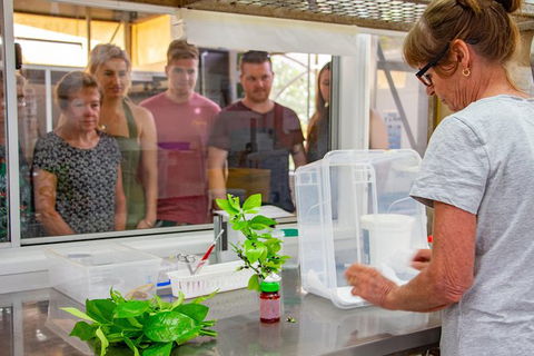 Australian Butterfly Sanctuary - Accommodation Mt Buller 6
