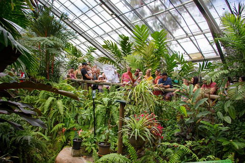Australian Butterfly Sanctuary - Accommodation Mt Buller 4