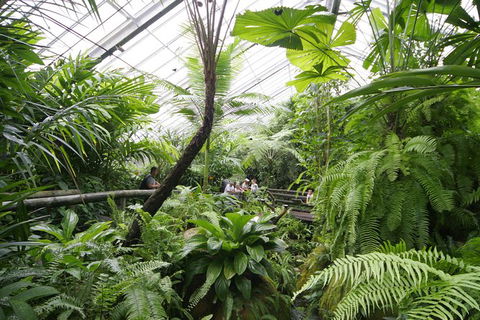 Australian Butterfly Sanctuary - Accommodation Mt Buller 1