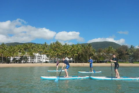 Sunrise Paddleboarding Group Lesson At Palm Cove Beach - Accommodation Mt Buller 3