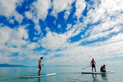 Sunrise Paddleboarding Group Lesson At Palm Cove Beach - Accommodation Mt Buller 1
