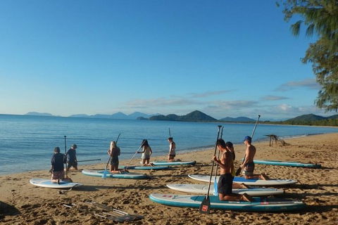 Sunrise Paddleboarding Group Lesson At Palm Cove Beach - Accommodation Mt Buller 8