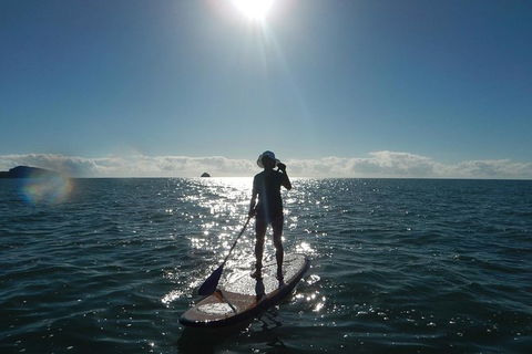 Sunrise Paddleboarding Group Lesson At Palm Cove Beach - Accommodation Mt Buller 5