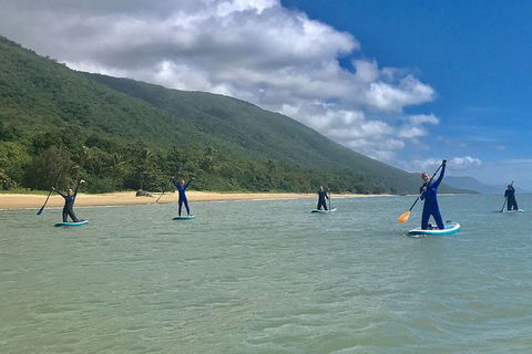 Sunrise Paddleboarding Group Lesson At Palm Cove Beach - Accommodation Mt Buller 14