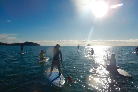 Sunrise Paddleboarding Group Lesson At Palm Cove Beach - Accommodation Mt Buller 13