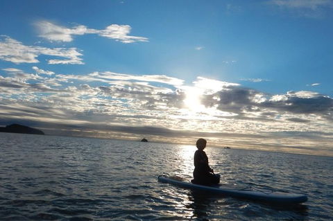 Sunrise Paddleboarding Group Lesson At Palm Cove Beach - Accommodation Mt Buller 12