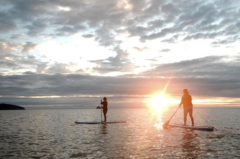 Sunrise Paddleboarding Group Lesson At Palm Cove Beach - Accommodation Mt Buller 0