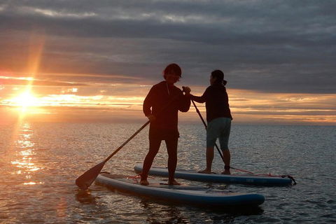 Sunrise Paddleboarding Group Lesson At Palm Cove Beach - Accommodation Mt Buller 15