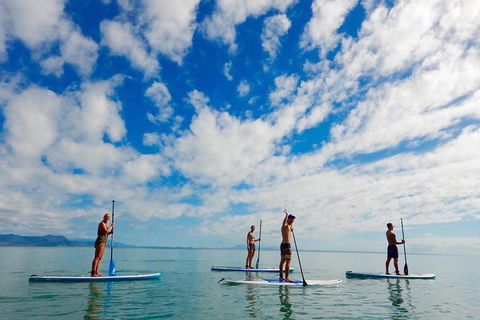 Sunrise Paddleboarding Group Lesson At Palm Cove Beach - Accommodation Mt Buller 18