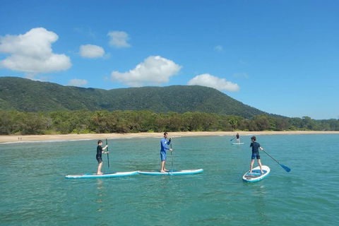 Sunrise Paddleboarding Group Lesson At Palm Cove Beach - Accommodation Mt Buller 16