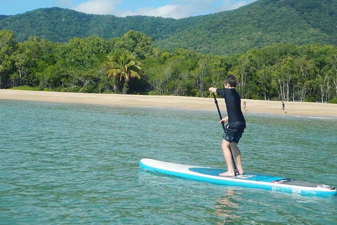 Sunrise Paddleboarding Group Lesson At Palm Cove Beach - Accommodation Mt Buller 4