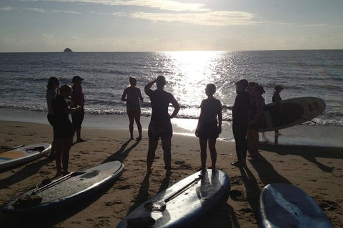 Sunrise Paddleboarding Group Lesson At Palm Cove Beach - Accommodation Mt Buller 17
