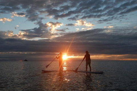 Sunrise Paddleboarding Group Lesson At Palm Cove Beach - Accommodation Mt Buller 10