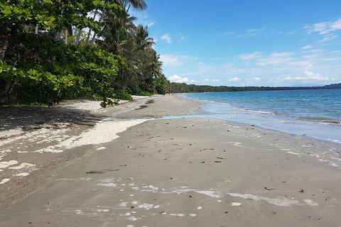 Airport Transfers Between Cairns Airport And Palm Cove - Accommodation Mt Buller 2
