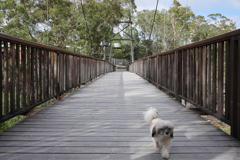 Entry Ticket At Historic Village Herberton - Accommodation Mt Buller 29