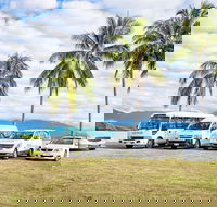 Private Transfers - Cairns Airport to Palm Cove - Accommodation Mt Buller