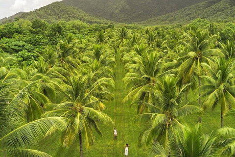 SHUTTLE - Thala Beach And Turtle Cove From Port Douglas (Return Transfer) - Accommodation Mt buller 1