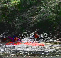 Mossman Gorge Adventure Day - Accommodation Mt Buller