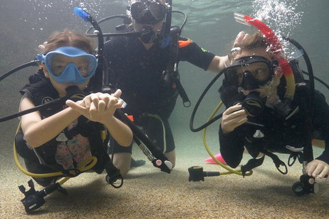 Scuba Kids- Padi Bubblemaker Course - Accommodation Mt buller 4