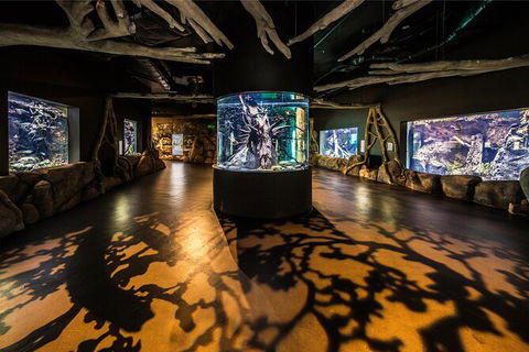 Cairns Aquarium Tour By Twilight With Drink And Appetiser - Accommodation Mt Buller 4