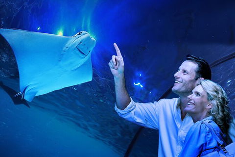 Cairns Aquarium Tour By Twilight With Drink And Appetiser - Accommodation Mt Buller 0