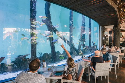 Cairns Aquarium Tour By Twilight With Drink And Appetiser - Accommodation Mt Buller 1