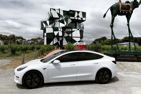 Adelaide Airport Arrival Transfer OR Tour In A Tesla Model3 EV - Accommodation Mt Buller 3