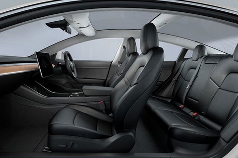 Adelaide Airport Arrival Transfer OR Tour In A Tesla Model3 EV - Accommodation Mt Buller 5