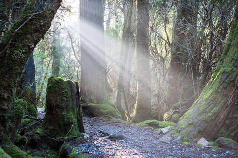 Cradle Mountain Day Tour - Accommodation Mt Buller 1
