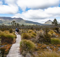 Cradle Mountain Day Tour - Accommodation Mt Buller