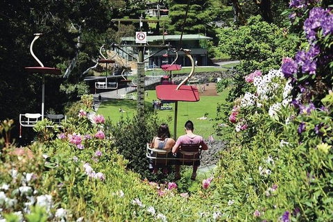Launceston Private Charter Service - Accommodation Mt Buller 3