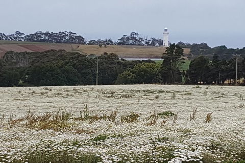 Cruise Ship Excursion: NW Tassie Coastal Explorer - Accommodation Mt Buller 14