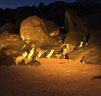 Penguin Tour - Accommodation Mt Buller
