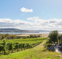 Launceston Wine  Sightseeing Tours - Accommodation Mt Buller