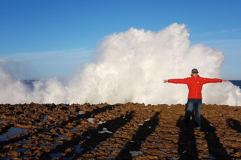 Ride Tours, 2 Day Great Ocean Road Experience - Accommodation Mt Buller 1