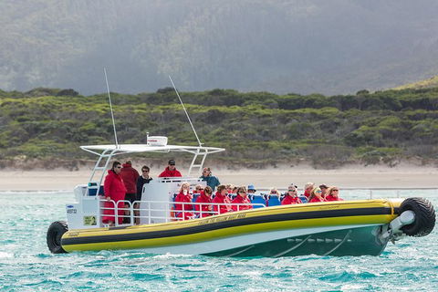 Wilsons Promontory Wilderness Cruise From Tidal River - Accommodation Mt Buller 2