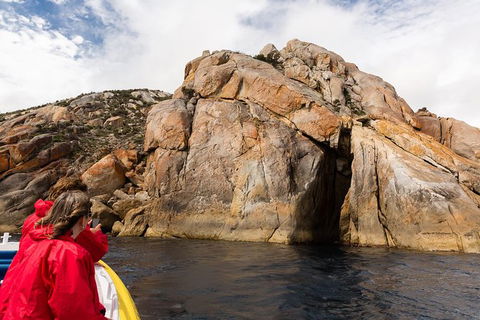 Wilsons Promontory Wilderness Cruise From Tidal River - Accommodation Mt Buller 4