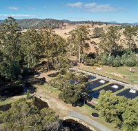 Skip the Line Fishing Experience Ticket - Buxton Trout  Salmon - Accommodation Mt Buller