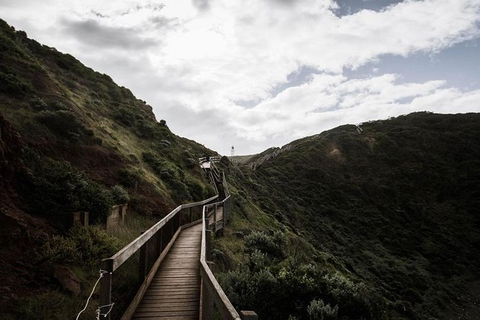 Explore Coastlines: Mornington Peninsula & Hot Springs Tour - Accommodation Mt Buller 2