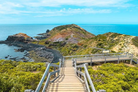 Explore Coastlines: Mornington Peninsula & Hot Springs Tour - Accommodation Mt Buller 3