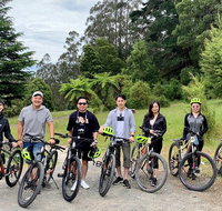 Aqueduct and Rail Trail Self-Guided Bike Tour in Warburton - Accommodation Mt Buller