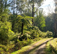 Private Aqueduct to California Redwoods Hiking Tour - Accommodation Mt Buller