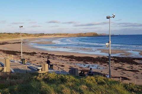 Phillip Island Penguin And Wildlife Tour - Accommodation Mt Buller 8